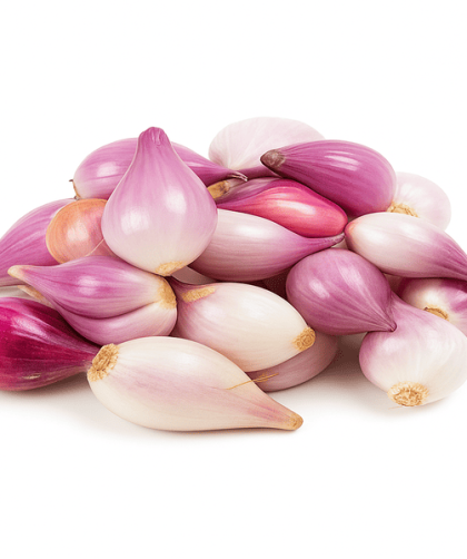 mesin kupas bawang instan