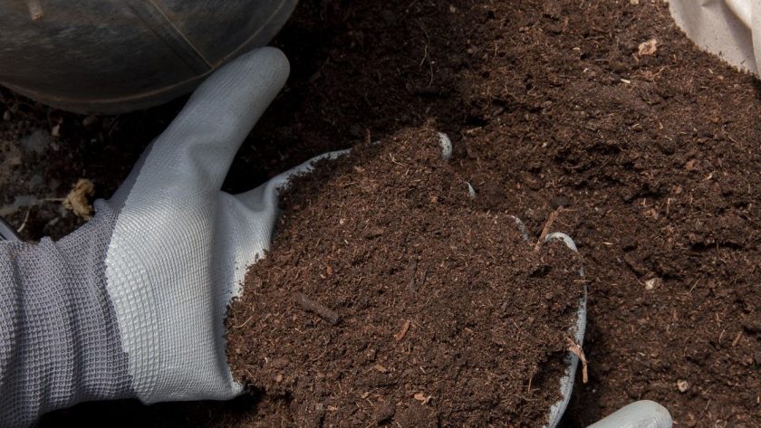 Mesin Pencacah Sampah Organik