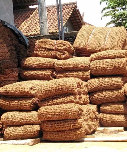 Praktikum Lingkungan Kreatif Berbasis Media Cocomesh