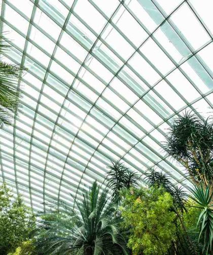 solusi pertanian efisien dengan rumah kaca