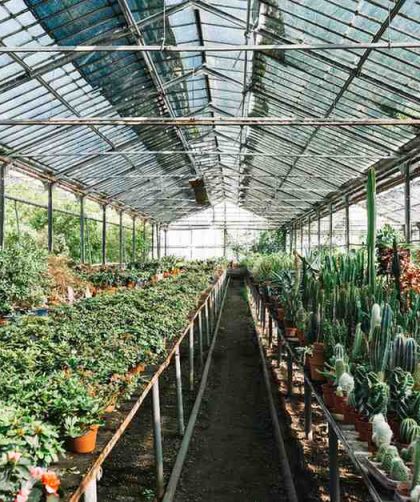 jasa pembuatan greenhouse profesional