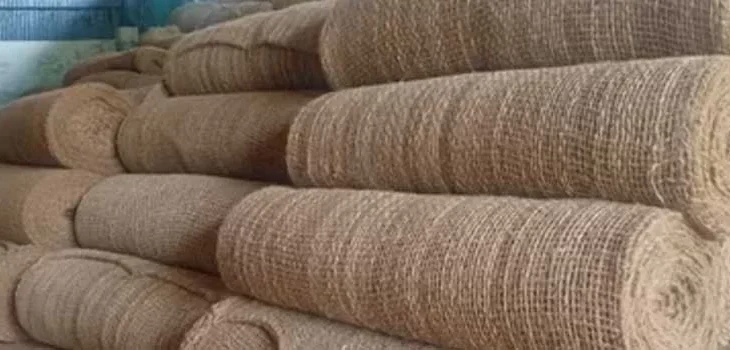 Dampak Lingkungan dari Produksi Cocomesh Lokal