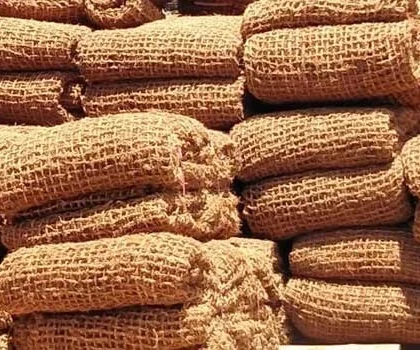 cocomesh penelitian akademik