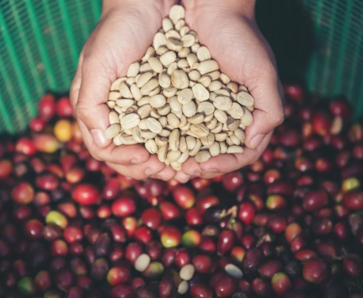 Cara Memisahkan Kulit Kopi yang Benar