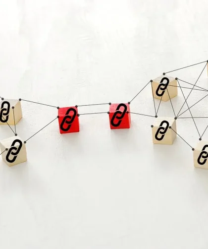 Dampak backlink PBN pada metrics SEO