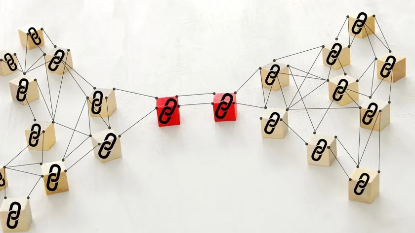 Dampak backlink PBN pada metrics SEO