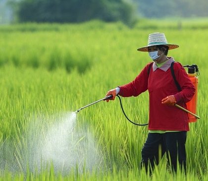 Cara Menyemprot Tanaman Lebih Cepat Untuk Hasil Maksimal