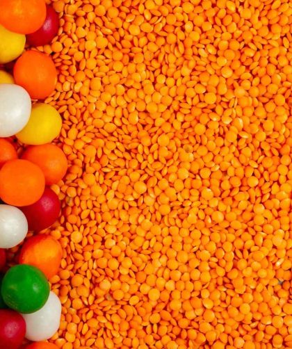 usaha biji plastik daur ulang