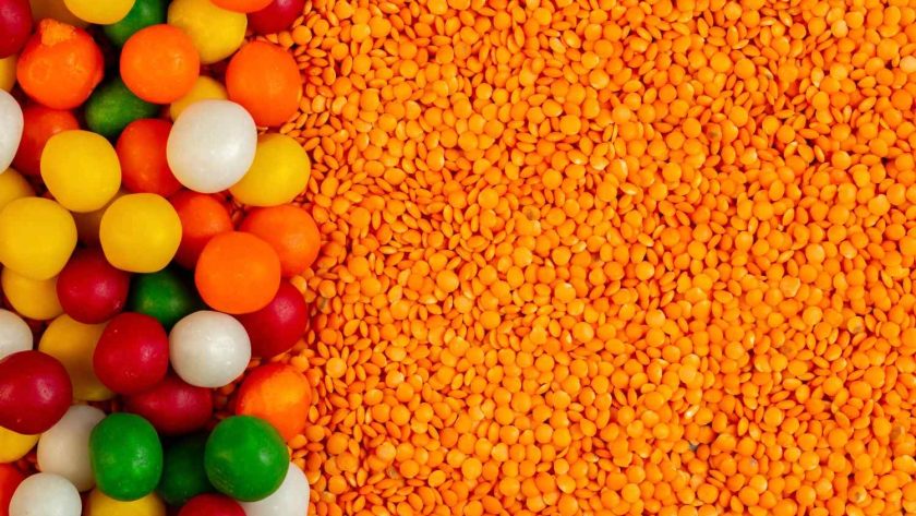 usaha biji plastik daur ulang