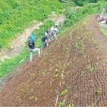 spesifikasi-cocomesh-penahan-erosi