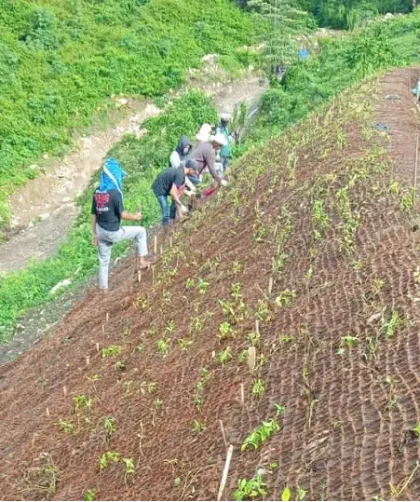 spesifikasi-cocomesh-penahan-erosi