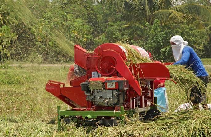 Power thresher untuk panen dengan kinerja mesin yang optimal