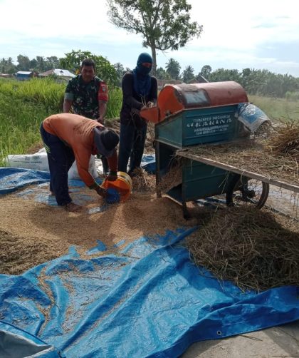 mesin perontok padi untuk kelompok tani
