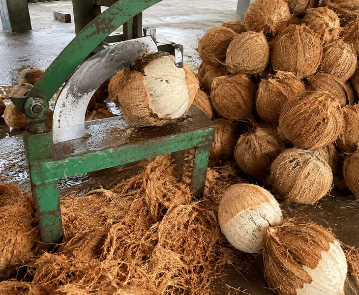 cara memisahkan sabut dari kelapa