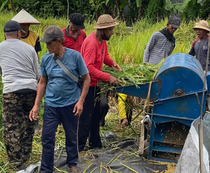 kelebihan mesin perontok padi