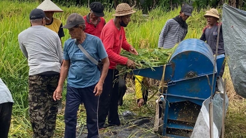 kelebihan mesin perontok padi