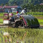 Perbandingan Harga Mesin Tanam Berdasarkan Kapasitas