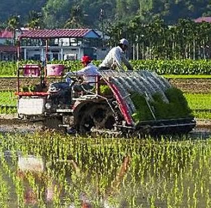 Perbandingan Harga Mesin Tanam Berdasarkan Kapasitas