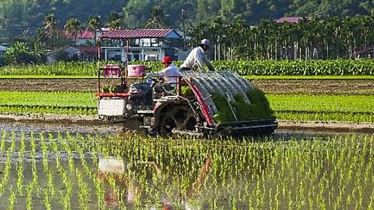 Perbandingan Harga Mesin Tanam Berdasarkan Kapasitas