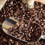 Cara Meningkatkan Kualitas Biji Kopi