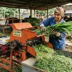 kelebihan pencacahan rumput