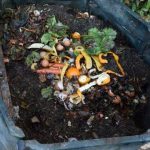 kompos sampah dapur