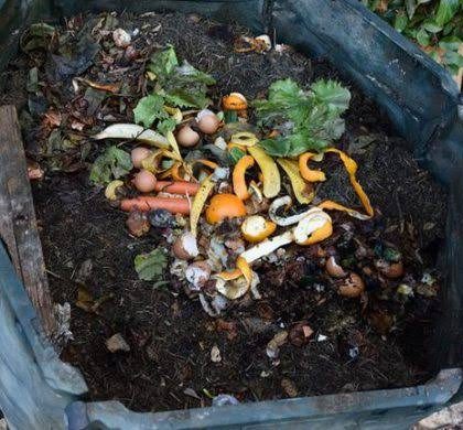 kompos sampah dapur