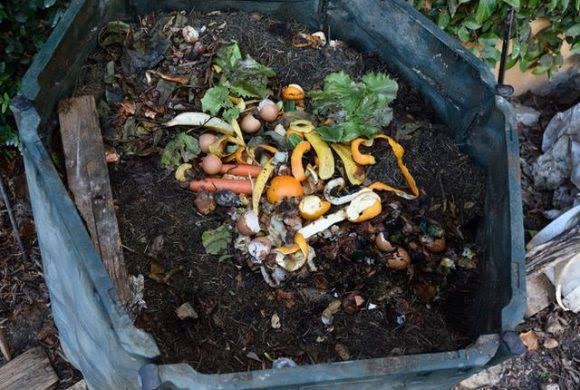 kompos sampah dapur