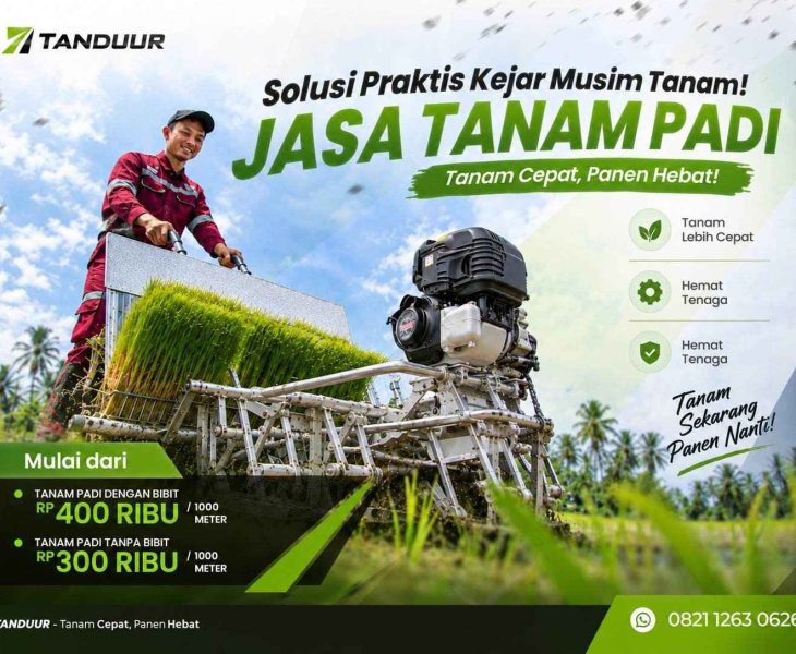 kendala kekurangan tenaga kerja saat tanam padi