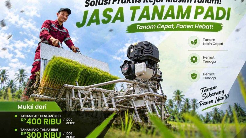 kendala kekurangan tenaga kerja saat tanam padi