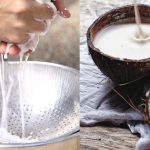 pengaruh kadar air terhadap hasil perasan santan