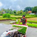 Perhitungan Modal Usaha Petani Padi