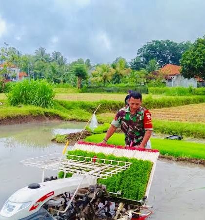 Perhitungan Modal Usaha Petani Padi