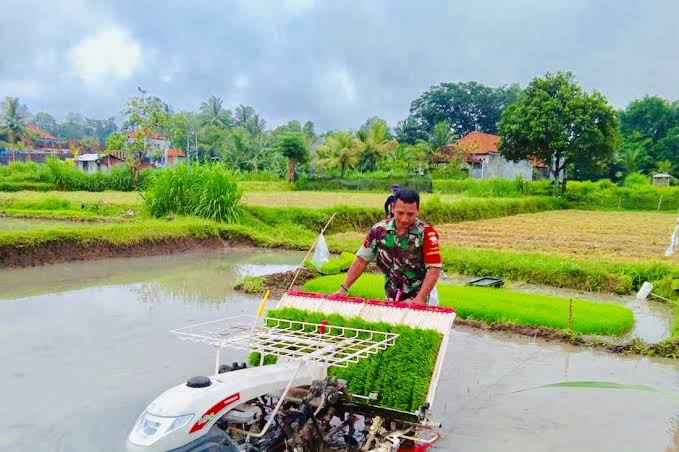 Perhitungan Modal Usaha Petani Padi