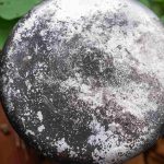 cara menghilangkan kerak pada peralatan dapur